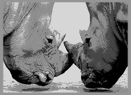 Auge in Auge - Zahn um Zahn