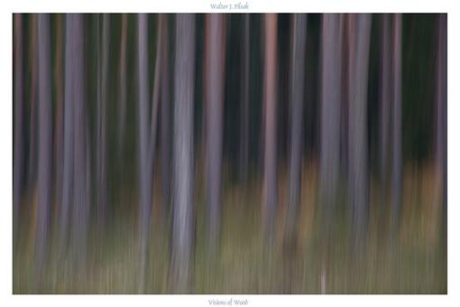 Visions of Wood