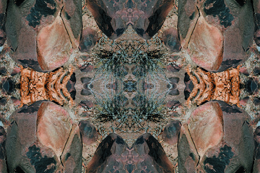 PK 230063 Sossusvlei