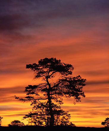 Kurz vor dem Sonnenaufgang