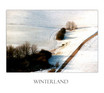 Winterland 1