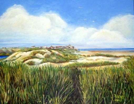 Nordsee Amrum