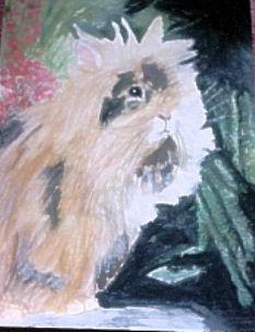 L�wenkopfkanninchen