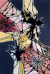 AMAZONIA -serial - ARACNA