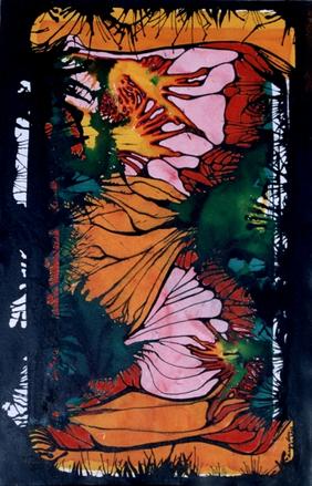AMAZONIA 1