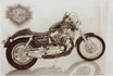 Harley Davidson  75 x 55 cm