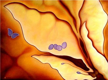 BUTTERFLYS DREAM