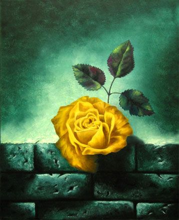 Rose auf Ziegelmauer