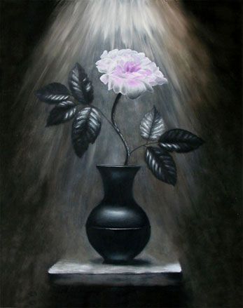 Rose im Licht