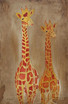 zwei giraffen