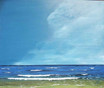 Meer