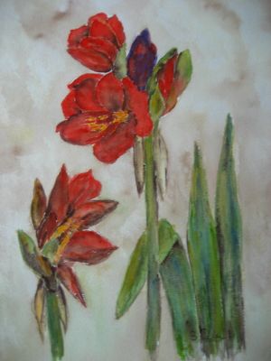 Amaryllis