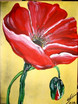 Mohn 2