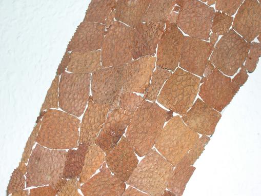 Spannende Oberfl�chen: Litschis (Detail)