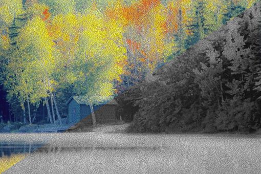 Ohne Titel