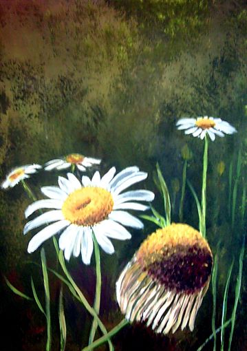 little goose flowers - G�nsebl�mchen