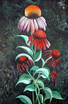 echinacea