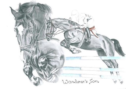Springpferd "Wanderer�s Son"