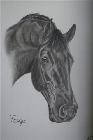 Hannoveraner "Fargo"