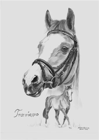 Dt. Reitpony "Traviesso"