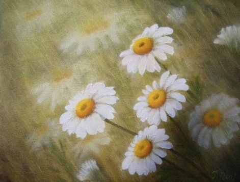 Margeriten