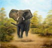 Elefant