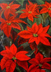 Weihnachtsstern