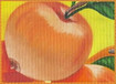Sweet-Fruit