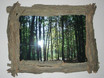 Waldfenster Harmonie