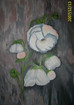 Anemonen