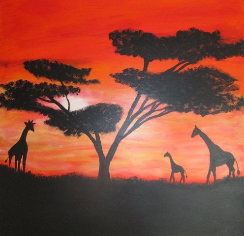  Afrika Giraffen
