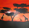  Afrika Giraffen