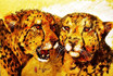 Geparden-Schwestern 01
