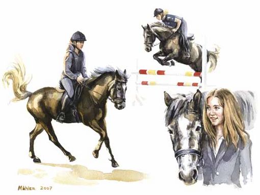 Studienblatt Ventos Reitpony