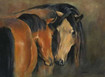 Pferde Portrait Pferdefreunde