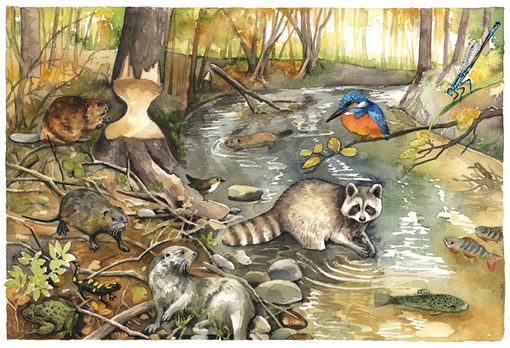 Illustration Tiere am Fluss