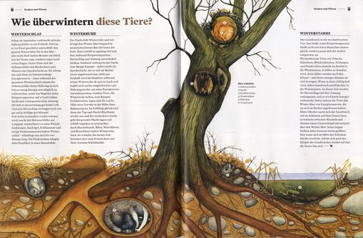 Naturillustration Winterschlaf
