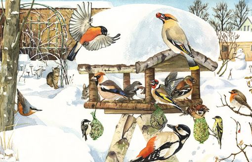 Naturillustration Winterf�tterung