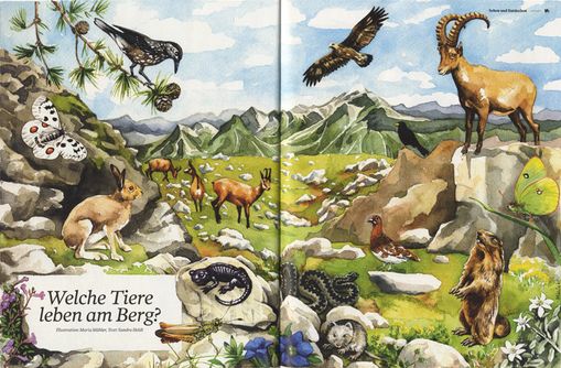 Illustration Tiere in den Alpen