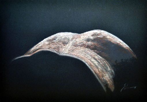 appaloosa-sinnlichkeit I  2005