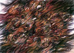 o.T. / 2006