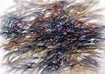 o.T. / 2006