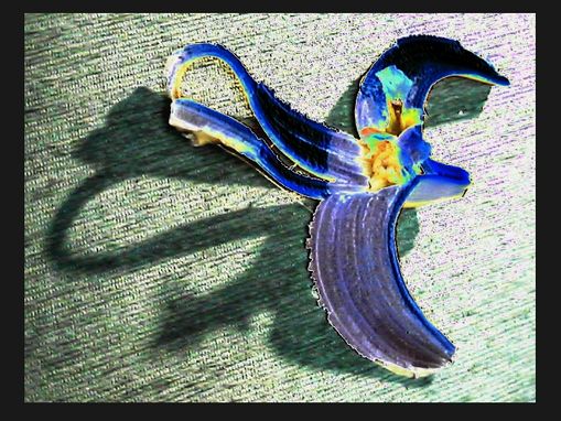 Orchidee Bananapfelis