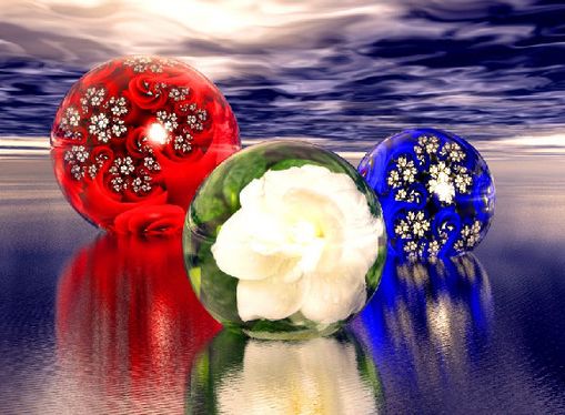 Punta Gorda beach flowers