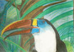 Tukan