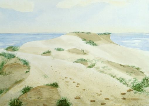 Landschaft 641