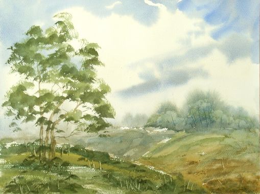Landschaft 632