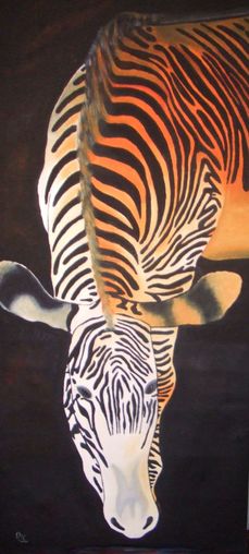 Zebra im Sonnenuntergang