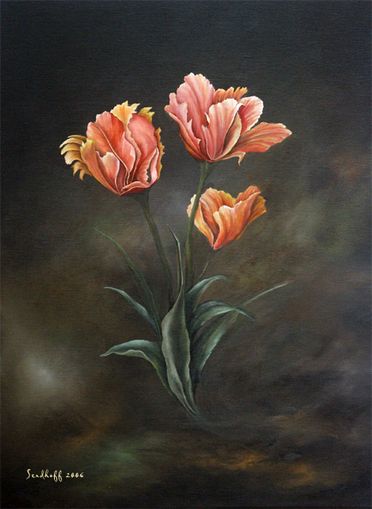 Tulpen