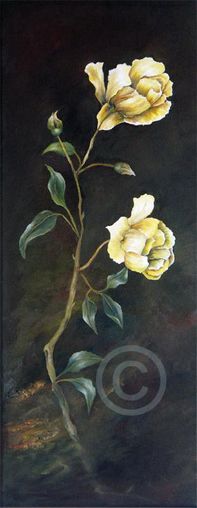 gelbe Rose